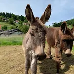 Am Kaltenbach