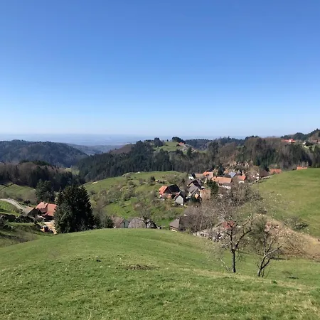 Am شقة Kaltenbach