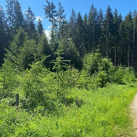 Am شقة Kaltenbach